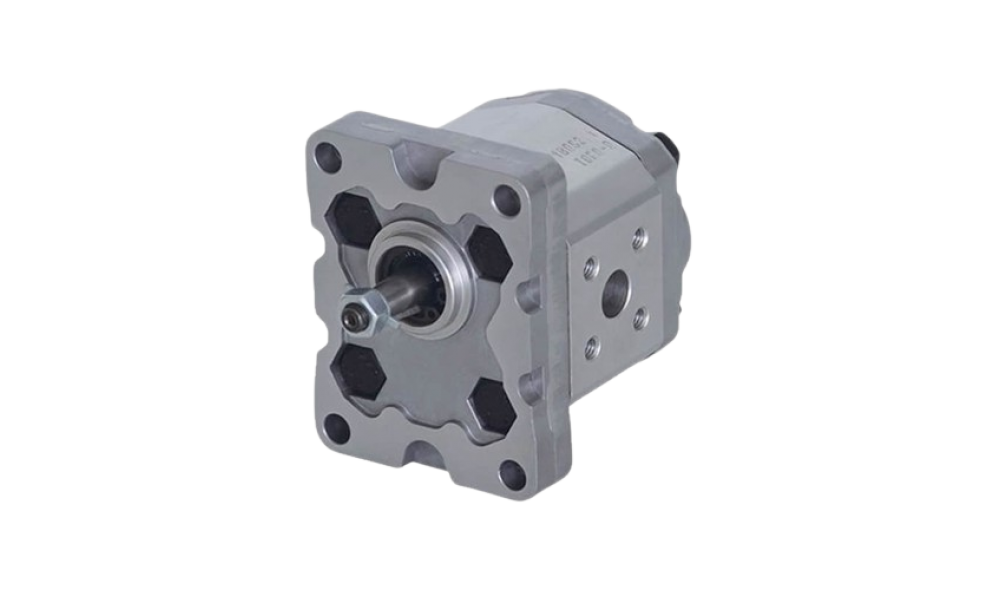 GR 1 Serisi Standart Pompalar BODEN